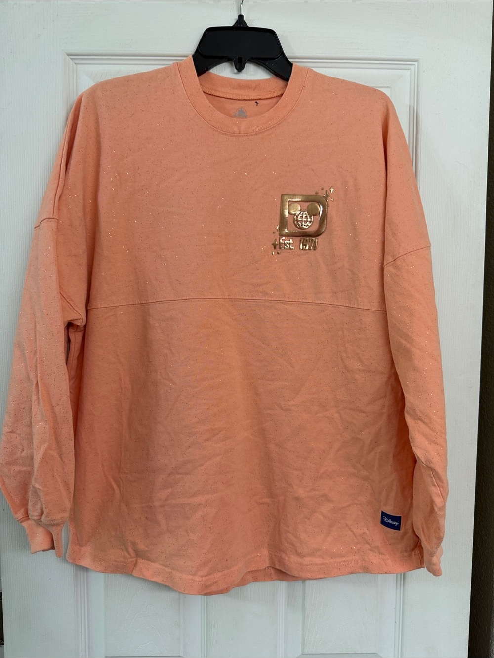 Disney world Spirit Jersey